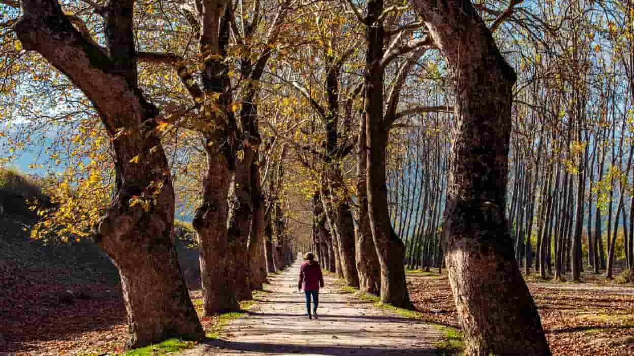 Get Motivated 5 Tips For Building A Stronger Recovery