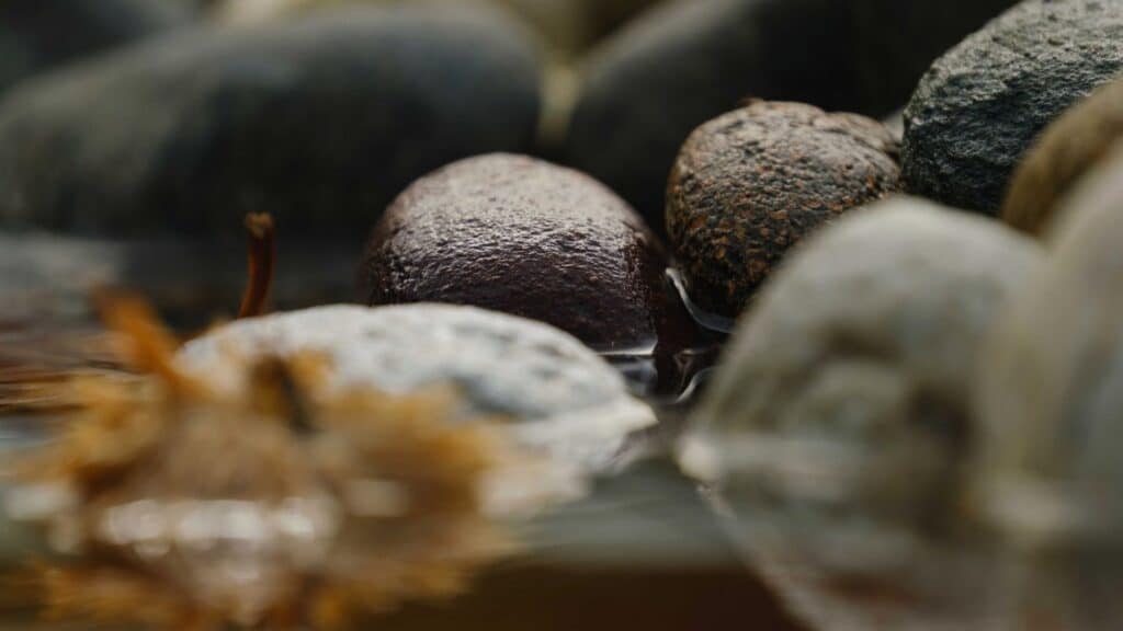 what is wet brain syndrome its a serious condition that may progress