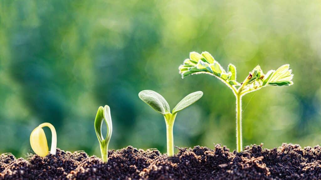 Top 5 Reasons Why People Fail to Get Sober On Their Own 3 when you get sober, you get to experience the joy of personal growth