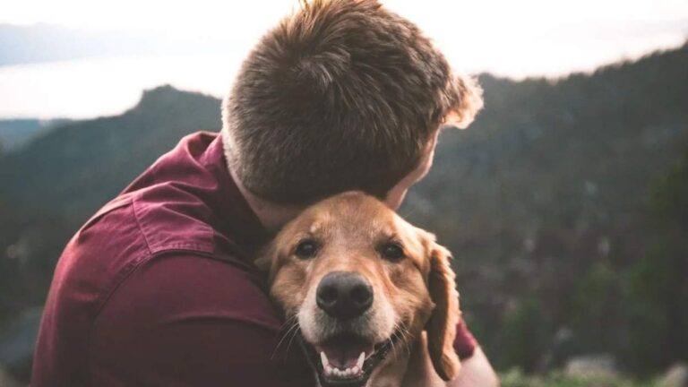 Can A Pet Help You In Your Recovery The Benefits of Having a Pet