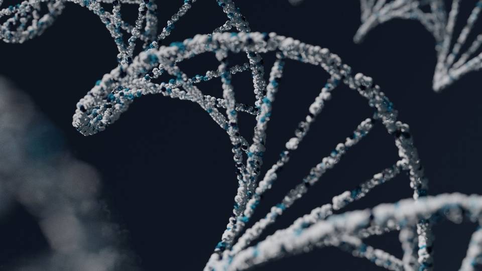 Alcoholism Genetics artistic depiction of DNA.