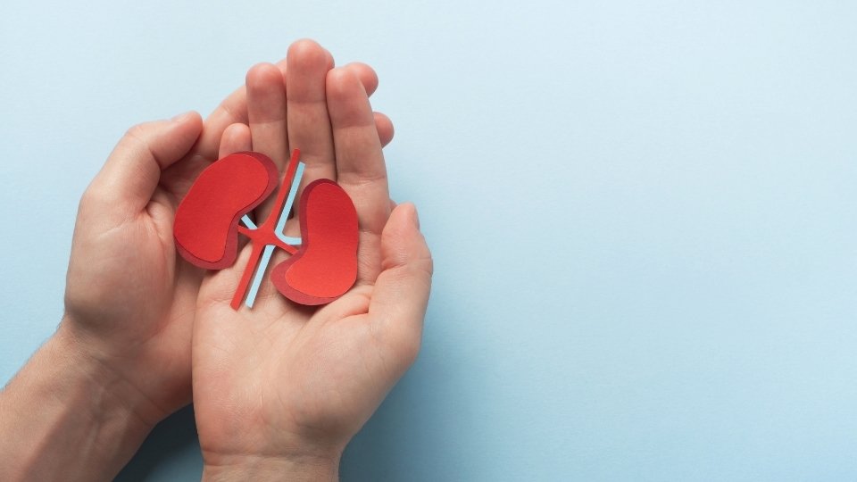 Does Alcohol Affect Kidneys yes along with blood pressure and your overall kidney health.
