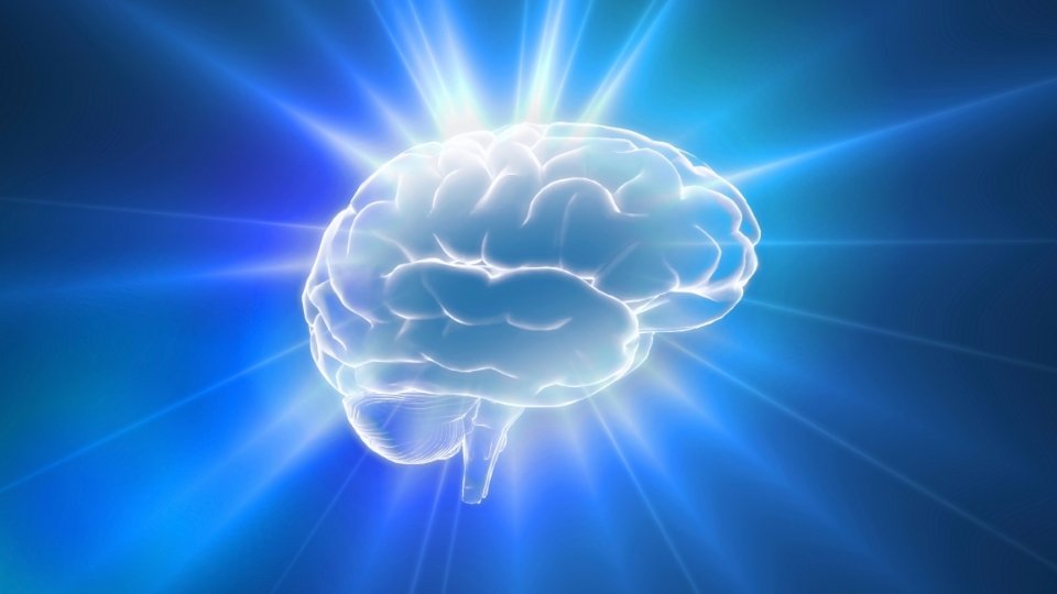 the difference Molly vs MDMA doesn't matter when it comes to the effect on the brain.